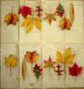 073 Plants - 3- ply - Stewo